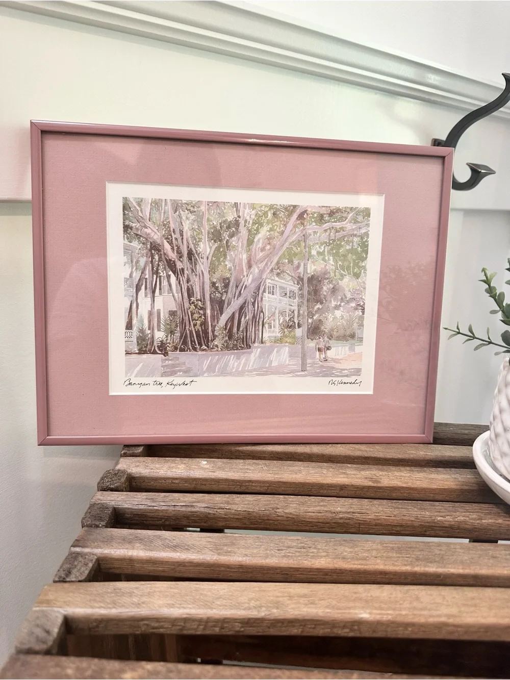 Pink Framed Mat Botanical Wall Art Robert E. Kennedy Iconic Banyan Tree Key West